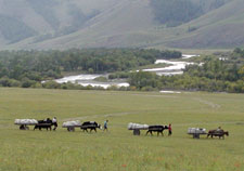 Mongolia-Khan Khentii-Big Sky Trail